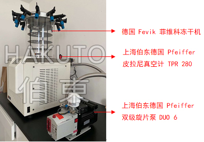 Pfeiffer 雙級旋片泵 DUO 6